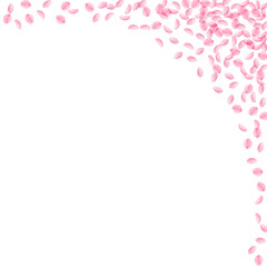 Sakura petals falling down. Romantic pink silky small flowers. Thick flying cherry petals. Square ri