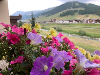 Livigno