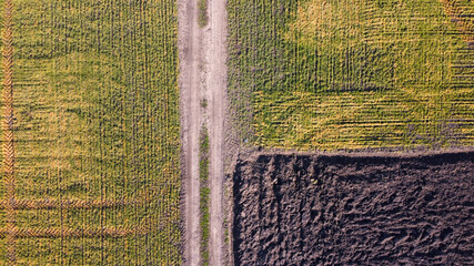 Adjacent fields separated by road.