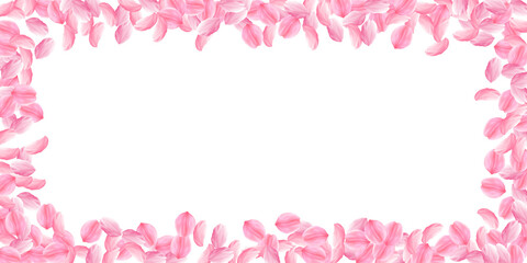 Sakura petals falling down. Romantic pink bright big flowers. Thick flying cherry petals. Wide scatt