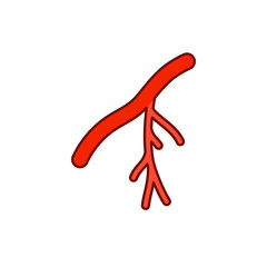 Human artery icon. Filled outline style can be used for web, mobile, ui. Blood, vessel, artery, vascular, vein, cardiovascular, heart concept. Vector illustration isolated on white background. EPS 10.