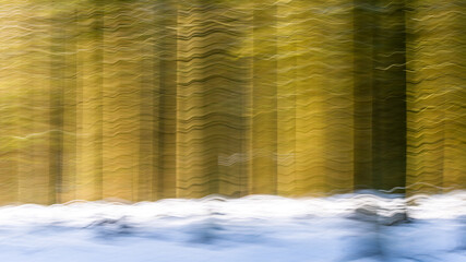 Abstract spruce forest in the winter with snow on the forest floor. Moving the camera horizontal during the long exposure to produce the blurred effect.