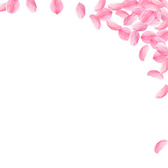 Sakura petals falling down. Romantic pink bright big flowers. Thick flying cherry petals. Square rig