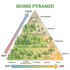 Biome pyramid as ecological weather or climate classification outline diagram