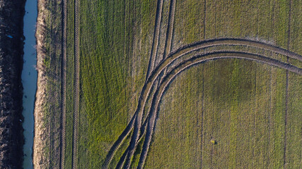 Tractor tracks on field.