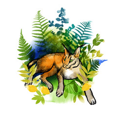 cats family vector sketch © tatiana_davidova