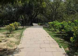 Garden path in Bhagwan Mahavir Vanasthali Park in New Delhi, India