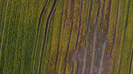 Drone shot of field during sunset.