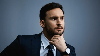 Bearded businessman looking away isolated on grey