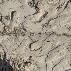 Footprints on a busy beach