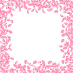 Sakura petals falling down. Romantic pink bright medium flowers. Thick flying cherry petals. Square