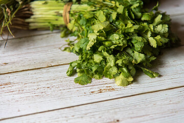 Close up of a bunch of fresh coriander leaves with use of selective focus.