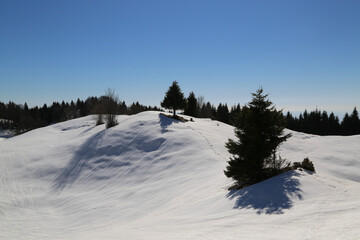 View of the landscape near the Col Dei S'Cios in Friuli Venezia Giulia, Italy