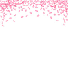 Sakura petals falling down. Romantic pink silky small flowers. Thick flying cherry petals. Square to