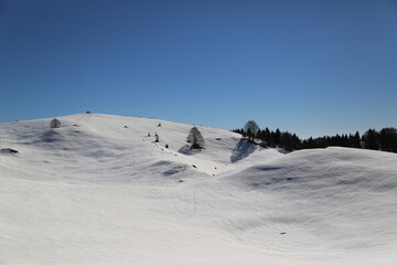 View of the landscape near the Col Dei S'Cios in Friuli Venezia Giulia, Italy