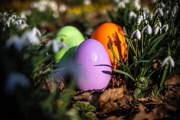 Drei Ostereier auf dem Waldboden versteckt
