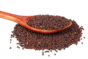 Dry mustard black seeds in wooden spoon isolted on the white background