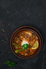 a national dish of Russian and Ukrainian cuisine. meat soup with pickles, olives, onions and lemon. with sour cream 
