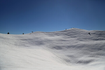 View of the landscape near the Col Dei S'Cios in Friuli Venezia Giulia, Italy