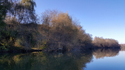 forest reflected in the lake in autumn season. wild landscape with leafless trees by the calm water