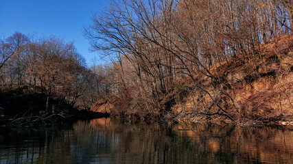forest reflected in the lake in autumn season. wild landscape with leafless trees by the calm water