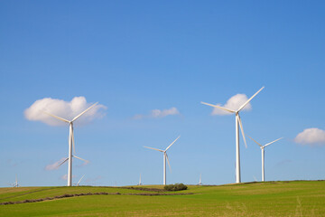 Fototapeta premium Renewable energy concept