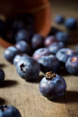 Blueberries close up