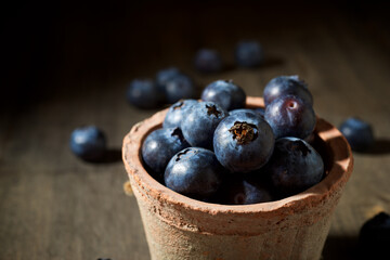 Blueberries close up