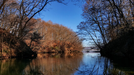forest reflected in the lake in autumn season. wild landscape with leafless trees by the calm water
