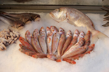 Seafood on ice at the fish market. Red fish on market display. Healthy eating concept.