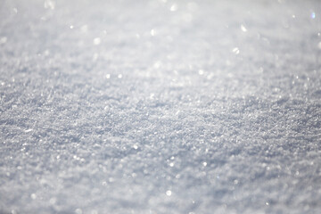 Obraz premium Snow close-up, winter background with copy space, glittering snowflakes.