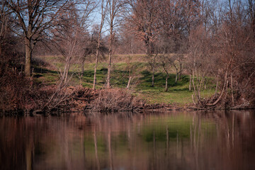 Obraz premium forest reflected in the lake in autumn season. wild landscape with leafless trees by the calm water