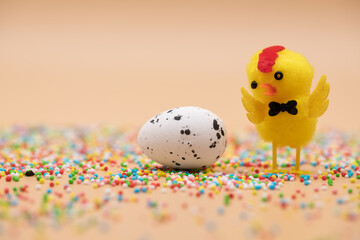 yellow baby chick close up singing loudly. orange happy easter background