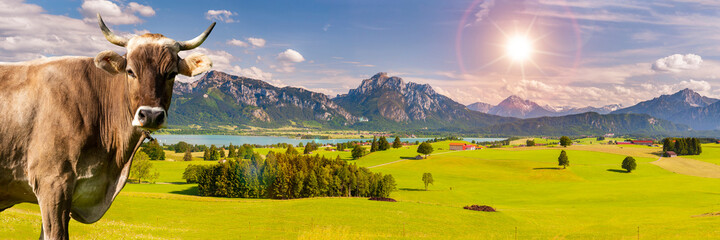 panoramic landscape at spring in Bavaria, Germany