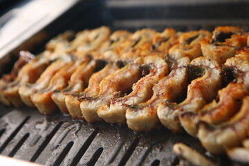 장어 eel 한국음식 korean food korea 장어구이