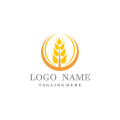 Obraz premium Agriculture wheat vector icon design