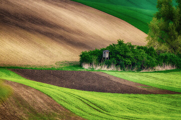 Fototapeta premium Rural spring landscape