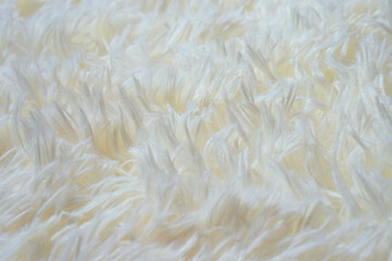 close up of fur texture of White short fur. White abstract background. White artificial fur as merino skin.