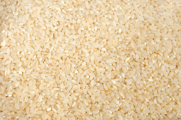 background of round rice grain close-up
