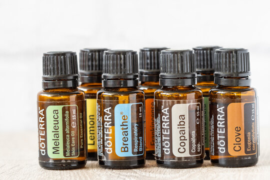 รูปภาพCopaifera เลือกดูภาพถ่ายสต็อก เวกเตอร์ และวิดีโอ99 Adobe Stock