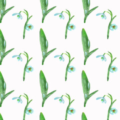 Botanical watercolor floral pattern.Snowdrop flowers.Light blue flowers isolated on white background.For wrappers,wallpapers,postcards,greating cards,wedding invintation.