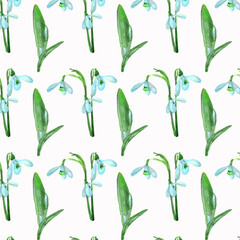 Snowdrop flowers.Botanical watercolor floral pattern.Light blue flowers isolated on white background.For wrappers,wallpapers,postcards,greating cards,wedding invintation.