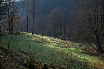 Tal bei Eiterbach im Odenwald (Baden-Württemberg, Deutschland)