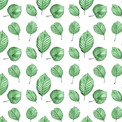 Seamless watercolor leaves pattern.Purple flowers,green leaves.For wrappers,wallpapers,postcards,greating cards.