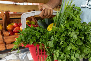 Homem segurando cesta de frutas e legumes no mercado.