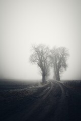 One rainy foggy morning in the dark