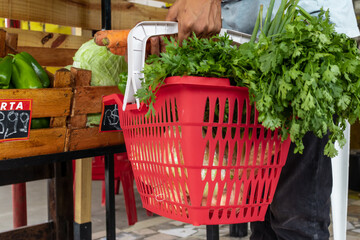 Homem segurando cesta de frutas e legumes no mercado.