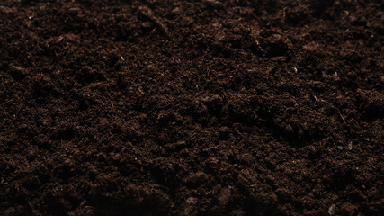 Black land for plant background.