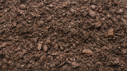 Black land for plant background.