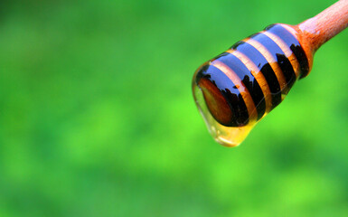 honey dipper with natural honey, over glassware, on a wooden plate, in a green field.